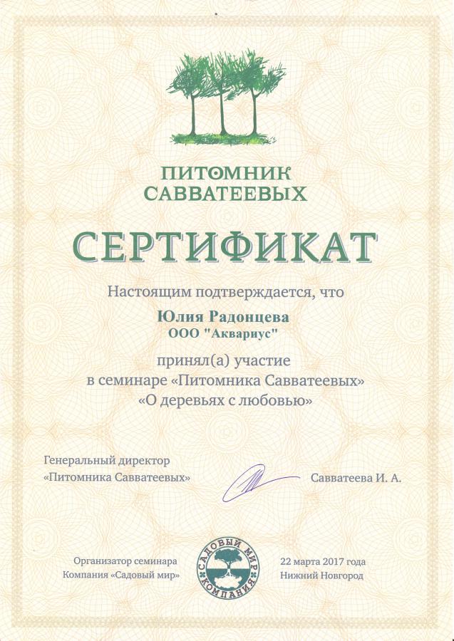Сертификат Савватьеевых 2017